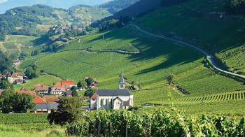 Vignes et domaines viticoles de l'avant pays Savoyard